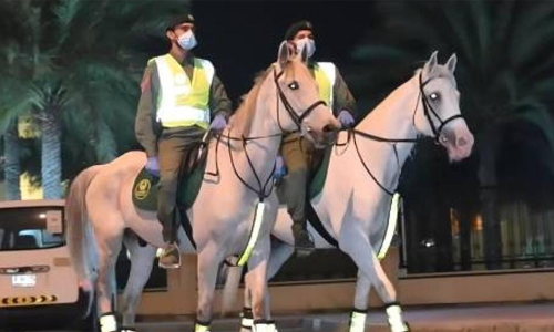 Preventing thieves Horse police