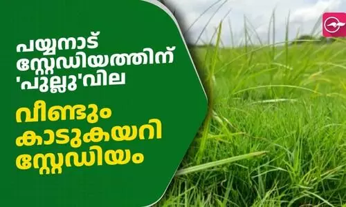 വീണ്ടും കാടുകയറി പയ്യനാട് സ്റ്റേഡിയം