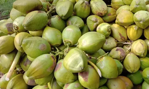 പച്ചത്തേങ്ങ സംഭരണം: യോഗം വിളിക്കണം  -താലൂക്ക് വികസന സമിതി