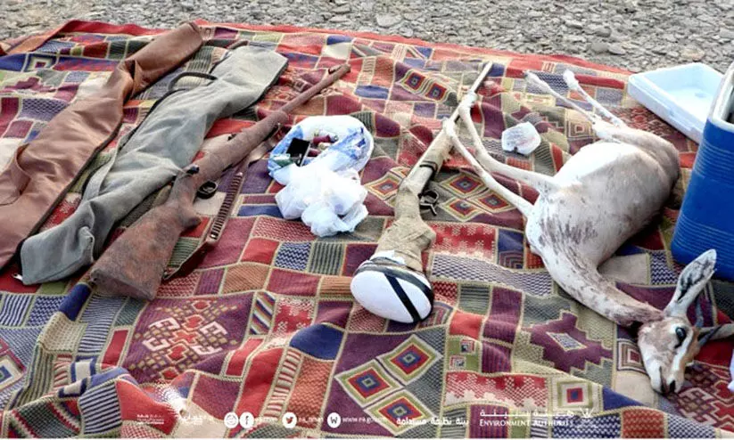 മൃഗവേട്ട: ആയുധങ്ങളും മാനുകളെയും പിടിച്ചെടുത്തു