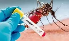 covid 19, health news