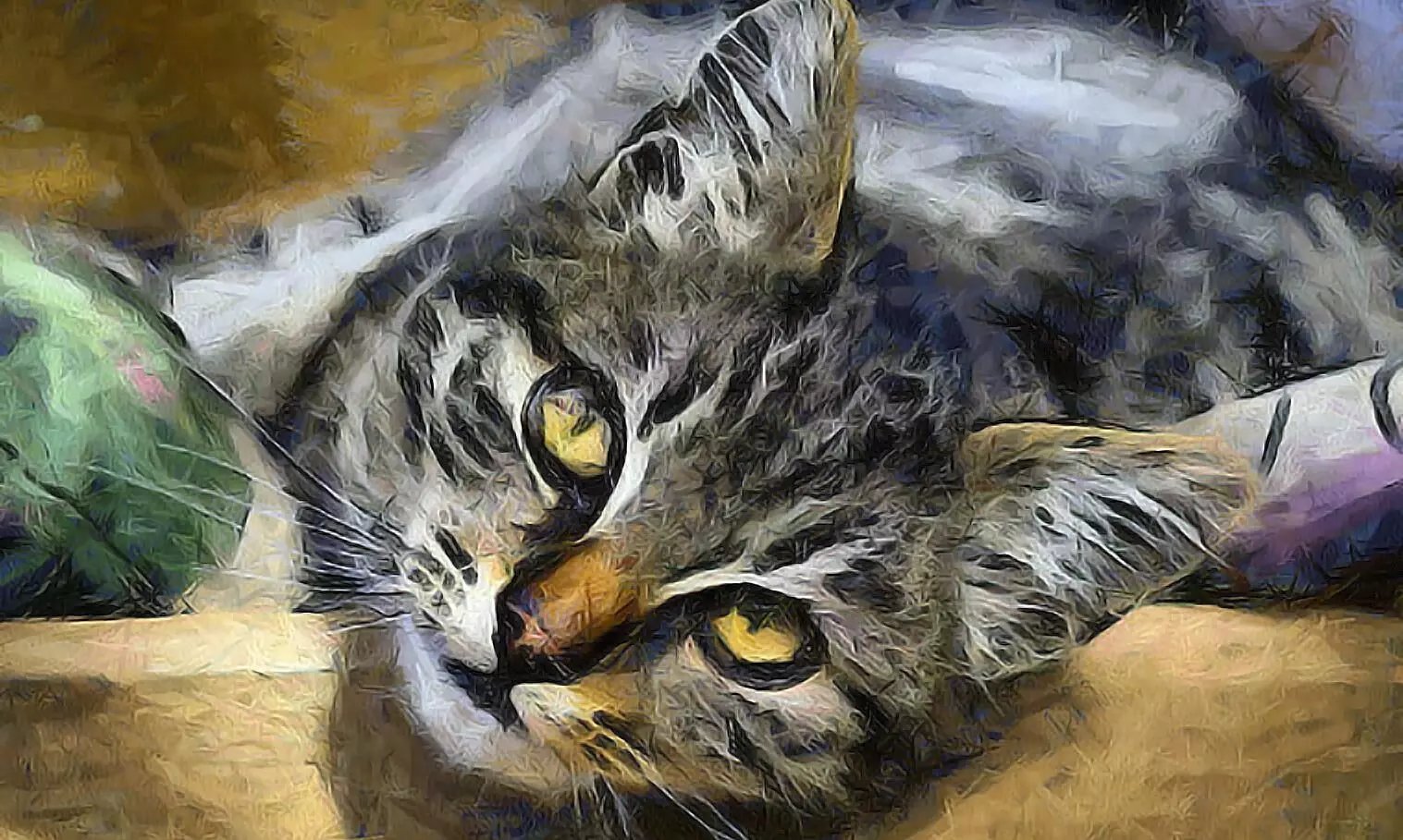 പൂച്ചതള്ളച്ചി പൂച്ചതള്ളച്ചി