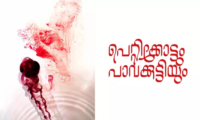 പെറ്റിക്കോട്ടും പാവക്കുട്ടിയും