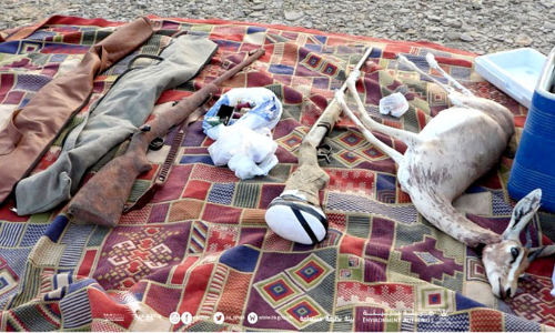 മൃഗവേട്ട: ആയുധങ്ങളും മാനുകളെയും പിടിച്ചെടുത്തു