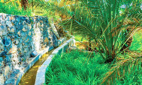 കഴിഞ്ഞമാസം നൽകിയത് 913 ജല ലൈസൻസുകൾ