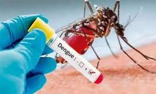 covid 19, health news