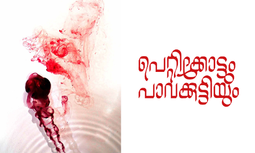 പെറ്റിക്കോട്ടും പാവക്കുട്ടിയും