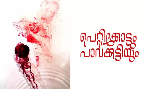 പെറ്റിക്കോട്ടും പാവക്കുട്ടിയും