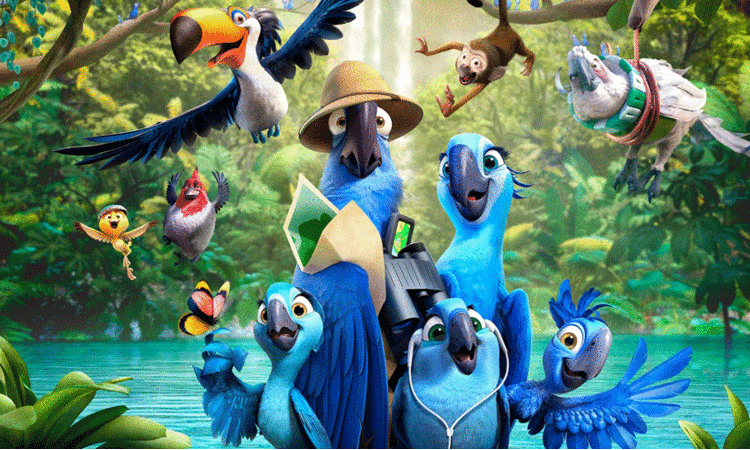 animation courses study