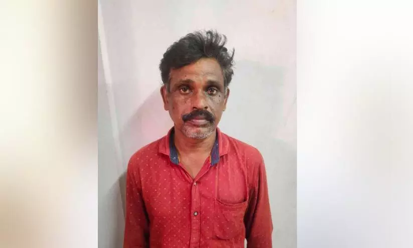 molestation molestation