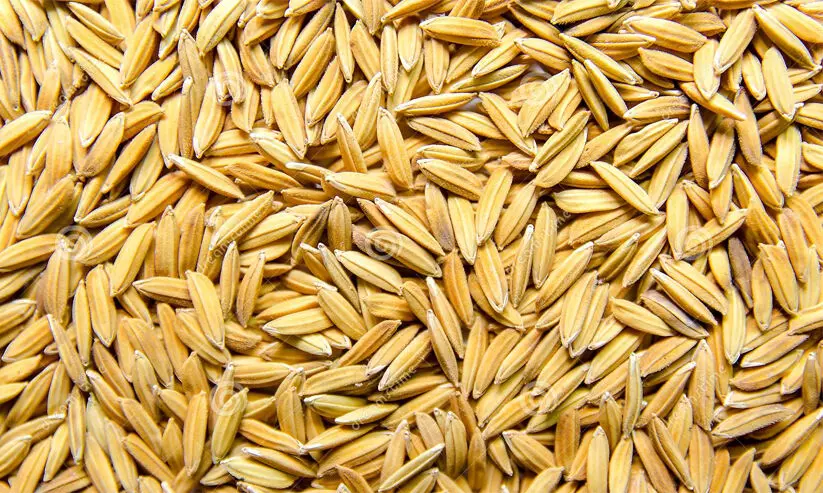 കു​വൈ​ത്തി​ന് ഭ​ക്ഷ്യ​ ഉ​ൽ​പ​ന്ന​ങ്ങ​ൾ ന​ൽ​കാ​ൻ ഇ​ന്ത്യ സ​ന്ന​ദ്ധ​മെ​ന്ന് അം​ബാ​സ​ഡ​ർ