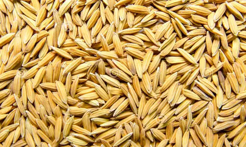 കു​വൈ​ത്തി​ന് ഭ​ക്ഷ്യ​ ഉ​ൽ​പ​ന്ന​ങ്ങ​ൾ ന​ൽ​കാ​ൻ ഇ​ന്ത്യ സ​ന്ന​ദ്ധ​മെ​ന്ന് അം​ബാ​സ​ഡ​ർ