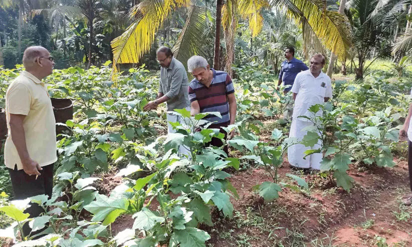 Expatriate community in search of industry roots in agriculture