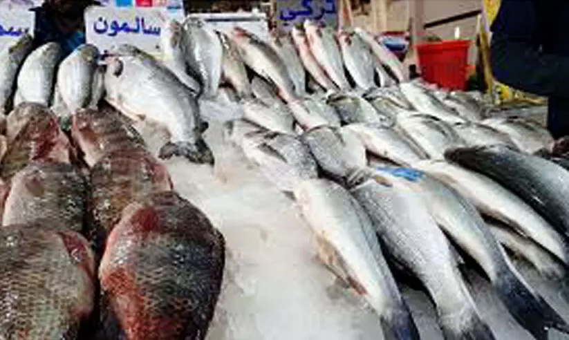 കുവൈത്തിൽനിന്ന് മത്സ്യ കയറ്റുമതിക്ക് വിലക്ക്