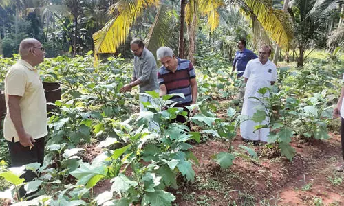 Expatriate community in search of industry roots in agriculture