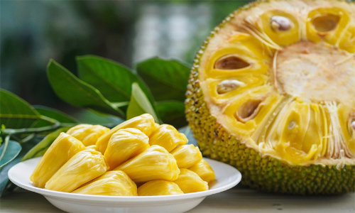 Jack Fruit