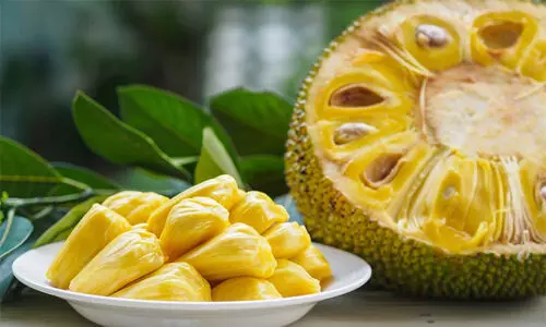 Jack Fruit