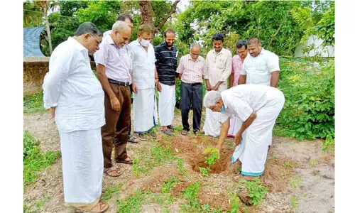 അധ്യാപകന്റെ ഓർമക്ക് വിദ്യാലയ മുറ്റത്ത് ഓർമമരം