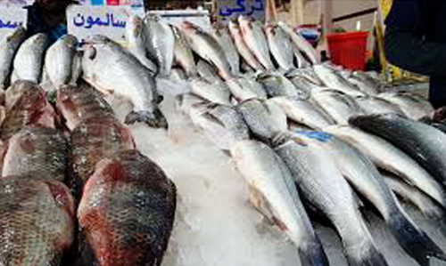 കുവൈത്തിൽനിന്ന് മത്സ്യ കയറ്റുമതിക്ക് വിലക്ക്