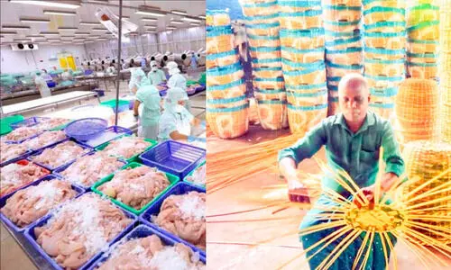 ചെമ്മീൻ വ്യവസായത്തിൽ പ്ലാസ്റ്റിക് വ്യാപകം; പരമ്പരാഗത തൊഴിൽ ഇല്ലാതാക്കി