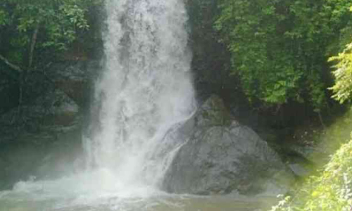 വിലക്ക് ലംഘിച്ച് വെള്ളച്ചാട്ടം കാണാനെത്തുന്നത് നാട്ടുകാർക്കും പൊലീസിനും തലവേദനയാകുന്നു