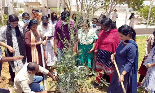 മരുഭൂമിയെ പച്ചപുതപ്പിച്ച് ഈ ദേവാലയം