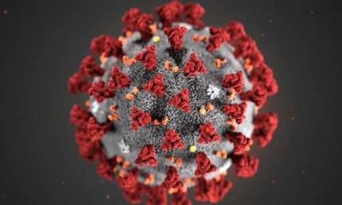 കോവിഡ് കേസുകൾ 12,899, 15 മരണം