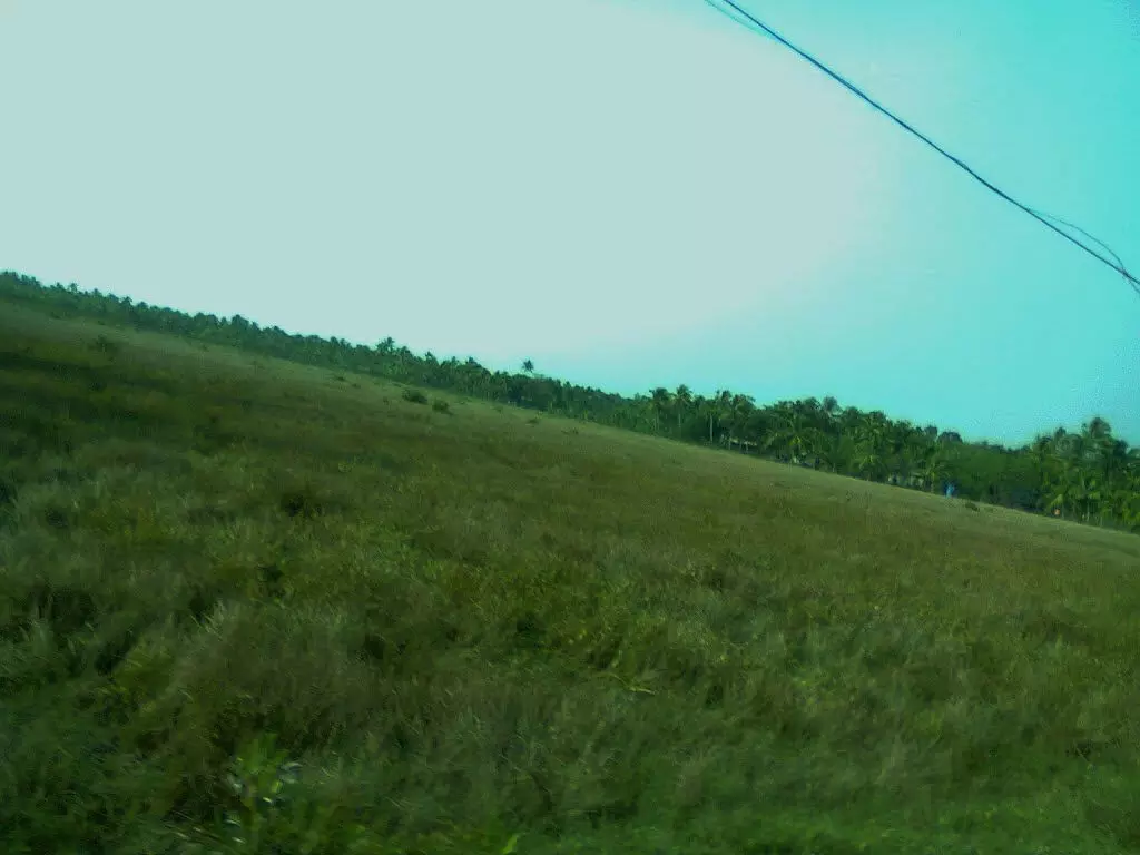 വൈക്കം - വെച്ചൂർ ഗോഡ് വികസനം: 15.14 ഏക്കർ ഭൂമി ഏറ്റെടുക്കുന്നതിന് വിജ്ഞാപനം വൈക്കം - വെച്ചൂർ ഗോഡ് വികസനം: 15.14 ഏക്കർ ഭൂമി ഏറ്റെടുക്കുന്നതിന് വിജ്ഞാപനം