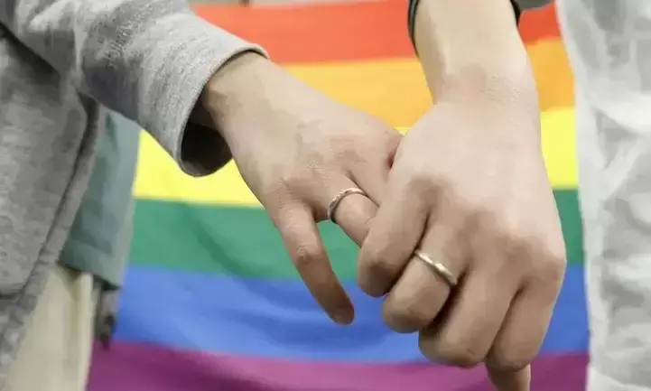 Japan court bans same sex marriage