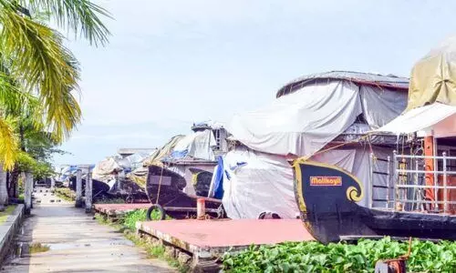 Backwater tourism attracts tourists