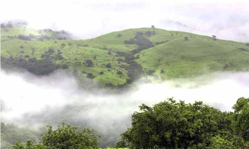 ഖരീഫ് കാലത്തിന് തുടക്കം: കുളിരണിയട്ടെ പ്രകൃതിയും മനസ്സും ഖരീഫ് കാലത്തിന് തുടക്കം: കുളിരണിയട്ടെ പ്രകൃതിയും മനസ്സും