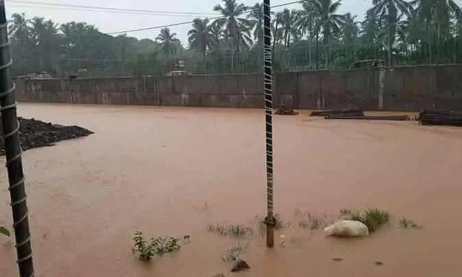 കലുങ്കുകളും, ഓവുചാലുകളും തുറന്നില്ല: വെള്ളത്തിൽ മുങ്ങി ദേശീയപാതയോരം കലുങ്കുകളും, ഓവുചാലുകളും തുറന്നില്ല: വെള്ളത്തിൽ മുങ്ങി ദേശീയപാതയോരം