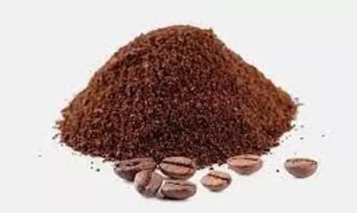 Coffee powder