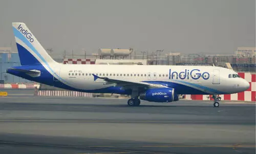 indigo airlines