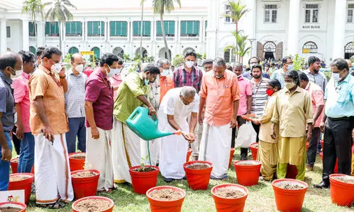 ഓണത്തിനൊരു മുറം പച്ചക്കറി – മന്ത്രിന്തിമാർ പച്ചക്കറി തൈകൾ നട്ട് തുടക്കം