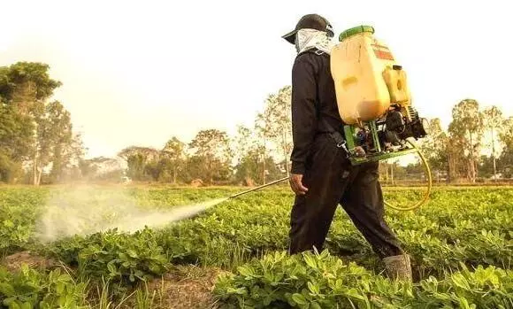 Pesticides, Agriculture