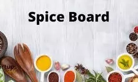 Spices Boards