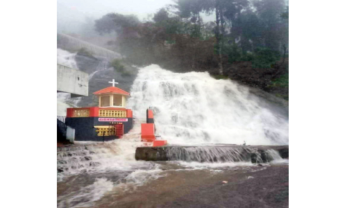 ഏ​ല​പ്പീ​ടി​ക വെ​ള്ള​ച്ചാ​ട്ട​ത്തി​ൽ ചെണ്ടുമല്ലി പൂക്കൾ വിരിയും; അഴക്​ കുത്തിയൊഴുകും