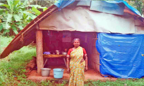 കൂരയിലാണ്; കാരുണ്യത്തണലേകാം മാധവിക്ക്