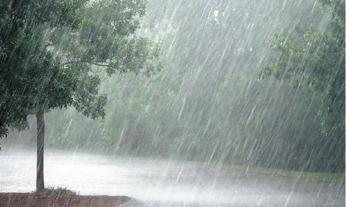 നാലാം വർഷവും മഴക്കമ്മിയുടെ ജൂൺ