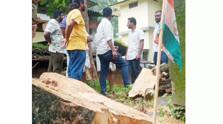 മുക്കം ഗവ. ആശുപത്രിവളപ്പിൽനിന്ന് അനധികൃതമായി മരം മുറിച്ചുകടത്തി