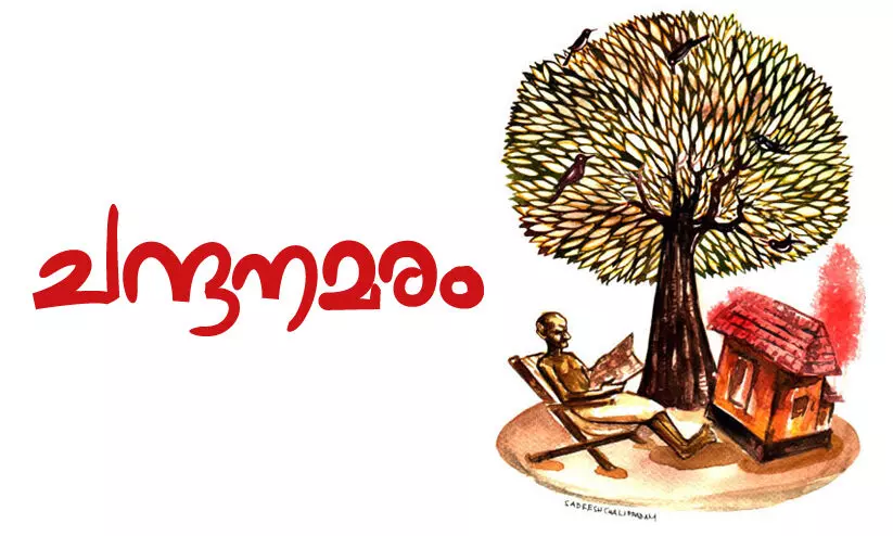 ചന്ദനമരം -കഥ വായിക്കാം ചന്ദനമരം -കഥ വായിക്കാം