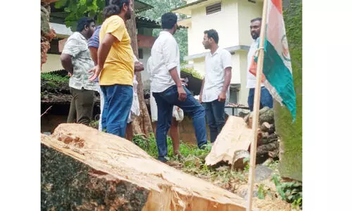 മുക്കം ഗവ. ആശുപത്രിവളപ്പിൽനിന്ന് അനധികൃതമായി മരം മുറിച്ചുകടത്തി