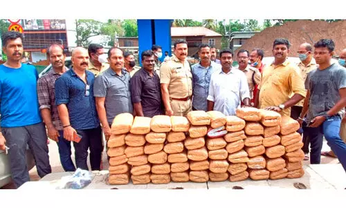 125 കിലോ കഞ്ചാവുമായി മൂന്ന് യുവാക്കൾ പിടിയിൽ 125 കിലോ കഞ്ചാവുമായി മൂന്ന് യുവാക്കൾ പിടിയിൽ