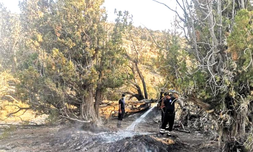 മ​ര​ങ്ങ​ൾ​ക്ക്​ തീ​പി​ടി​ച്ചു