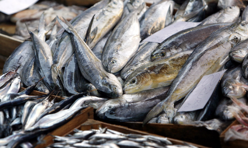 പൊതുസ്ഥലങ്ങളിൽ മത്സ്യവിൽപന നിരോധിച്ച് ലക്ഷ‍ദ്വീപ് ഭരണകൂടം