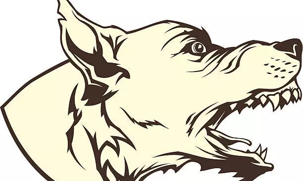 തെരുവുനായ് ആക്രമണം: 12 പേർക്ക് കടിയേറ്റു തെരുവുനായ് ആക്രമണം: 12 പേർക്ക് കടിയേറ്റു