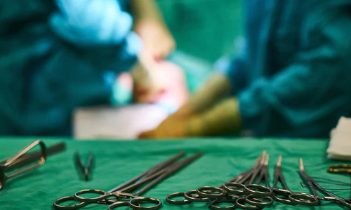 കർണാടകയിൽ ഉപേക്ഷിക്കപ്പെട്ട നിലയിൽ ഏഴ്ഭ്രൂണങ്ങൾ കണ്ടെത്തി