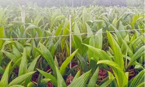 Aralam Farm Aralam Farm