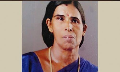 തൊഴിലുറപ്പിനിടെ തെങ്ങ് തലയിൽ വീണ് തൊഴിലാളി മരിച്ചു